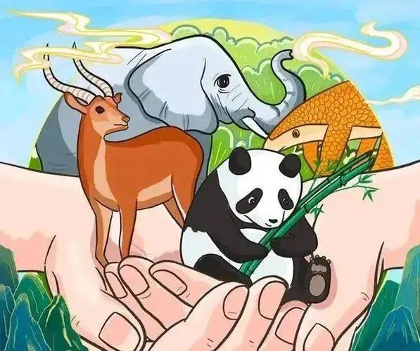 开云 开云体育平台灵活就业人员参保户籍限制放宽、新修订的《上海市电梯安全管理办法》……这些新规5月1日起施行(图12)