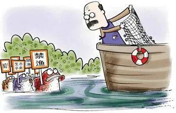 开云 开云体育平台灵活就业人员参保户籍限制放宽、新修订的《上海市电梯安全管理办法》……这些新规5月1日起施行(图14)
